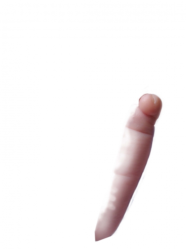 Creation of How Many?: Step 1